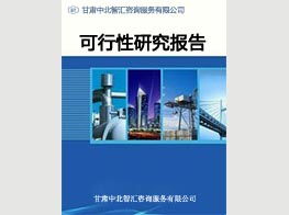 專業(yè)高效，助您啟航——蘭州中北智匯咨詢，您的項目建議書與可研報告編制專家